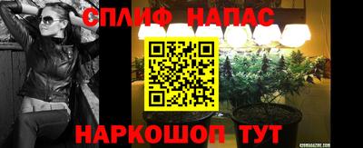 молекула духа Заводоуковск