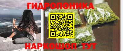 молекула духа Заводоуковск