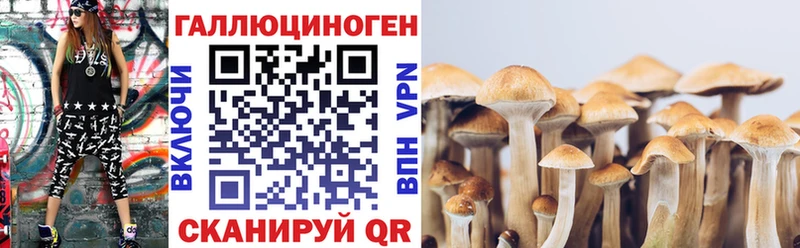 Псилоцибиновые грибы MAGIC MUSHROOMS  Карабулак 