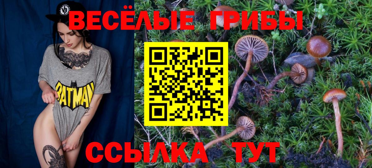Псилоцибиновые грибы Psilocybe  Карабулак  Псилоцибиновые грибы прущие грибы 
