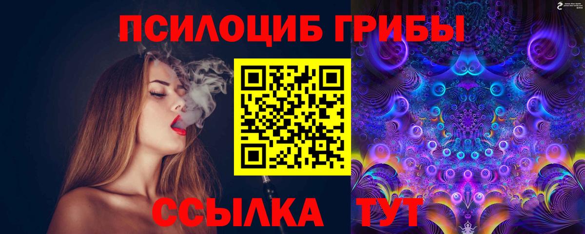 Карабулак  где продают   Вход с VPN  Галлюциногенные грибы GOLDEN TEACHER 